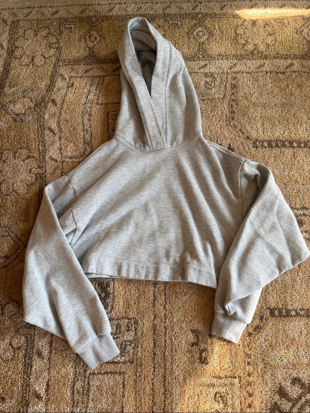 ALO Yoga Cropped Heather Gray Hoodie